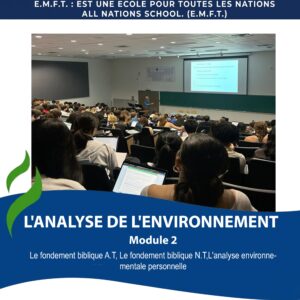 L'ANALYSE DE L'ENVIRONNEMENT (MODULE 2)